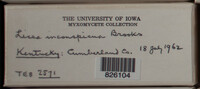 Image Associated With the Occurence